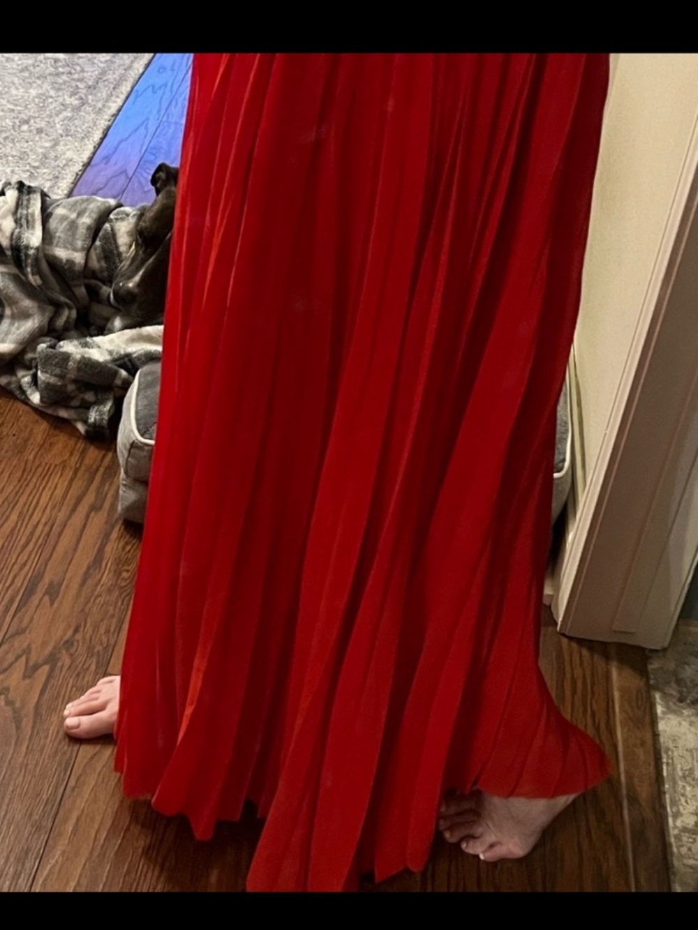J.ING Red Pleated Maxi Skirt BNWT Small. Gorgeous